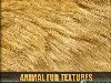 Текстуры - Шерсть Животных 14 JPG | max.3300x2200 | 18 Mb