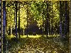 ... лес - Осень картинкиu0026quot; title=u0026quot;Осенний лес Анимационные блестящие картинки ...