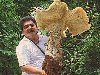Самые большие грибы на планете