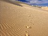 Следы на песке. Идет человек по пустыне. Идти очень тяжело – ноги вязнут в ...