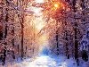 Природа - Лучи солнца зимой