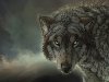 Фото и видео прикол: Волк Волк, арт. поделиться