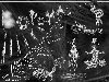 Фракталы и сканированные вороны, нарисованные гелькой