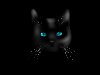 Фото Нарисованный черный кот с голубыми глазами на черном фоне