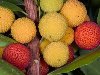 Картинки Экзотические фрукты