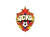 Новый герб ПФК ЦСКА официально введен с 2008 года.
