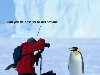 Фото-прикол: Фотосессия у пингвина. Фотосессия у пингвина