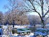 Полдень в парке / природа, пейзаж, озеро, зима, снег, декабрь
