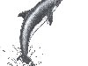 очень простой и доступный пошаговый план как нарисовать дельфина карандашом.