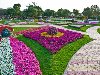 Очень красивый парк цветов в городе Эль-Айн (16 фото)