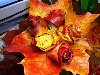 Розочки из листьев клена Букет осенних листьев – сам по себе подарок, ...
