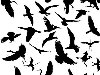 Набор из силуэтов птиц u0026middot; Бабочки (93 формы)