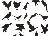 Скачать u0026quot;Birds Silhouettes - Силуэты птиц (Вектор)u0026quot; с помощью MediaGet