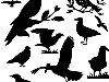 Силуэты птиц (11 форм)