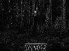  : Slender Dark Forest : Talentplace