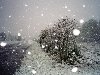 13 января в Киеве облачно с прояснениями, ночью мокрый снег с дождем, ...