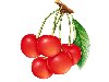 Статьи по теме: Овощи, фрукты, ягоды, используемые при бронхо легочных ...