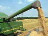 урожай комбайн зерно поле пшеница