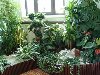 ЛУЧШИЕ удобрения для комнатных растений. Комнатные растения нуждаются в ...