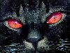 Скачать оригинал: Светящиеся глаза кошки - 1366x768 u0026middot; вырезать нужный размер