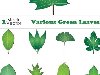 Зеленые листья разных деревьев - векторный клипарт