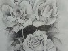 Цветки роз нарисованные простым карандашом u0026middot; Цветы