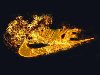 Широкоформатные обои NIKE в огне, Горящий логотип Nike