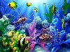Люблю подводный мир