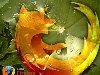 Новый Mozilla Firefox 16 скачать бесплатно на компьютер .