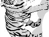 Тигр Черно-белый рисунок тигра к статье Как раскрасить тигра 1999-2012