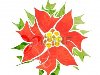 красный декоративный цветок на белом иллюстрации акварелью Фото со стока - ...