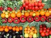 Эксперты прогнозируют в Украине хороший урожай овощей В этом году ожидается ...
