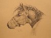 рисунки лошадей карандашом. Добавил Florentina Mcglinchey размер: 800x601