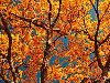 Коллекция картинок про осень! Самые красивые картинки осень (21 фото)