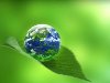 Экоорганизация – фонд защиты окружающей среды «Зеленая планета»