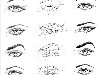Как рисовать глаза человека? Автор: Марина Трушникова.