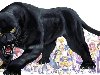 Panther (без фона).png (12 MB)
