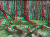 Жаба.ru : оптическая иллюзия : 3D ФОТОГРАФИИ.