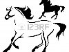 красивая бегущей лошади - контур и силуэт Фото со стока - 13242223