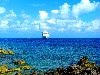 Карибское море — Википедия