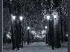 Смоленск. Парк Блонье. Зима. Ночь. Фонари. Аллея