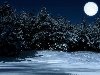 зимний пейзаж / пейзаж, красота, зима, ночь, картинки, луна. зимний пейзаж