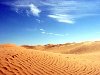 Эта пустыня – Сахара. Если проанализировать высказывания первых ...