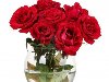 Красивые красные розы в вазе на белом Фото со стока - 11668845