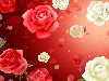 Красные и белые розы. Переключить разрешение изображения: 320x240 640x480 ...