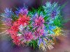 Букет из фантастических цветков с острыми лепестками всех цветов радуги