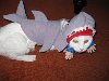 4 Коты и собаки в костюмах акул (23 фото)