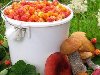 За ягоды, грибы и пикники в лесу придется платить Фото zastavki.com