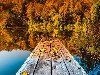 Обои картинки фото озеро, мостик, листья, осень, деревья на рабочий стол ...