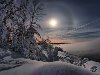 Всех с первым днём зимы (фото) » фото: зимние ночные пейзажи в лесу